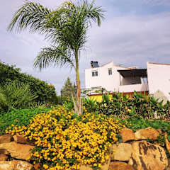 Fotos von 