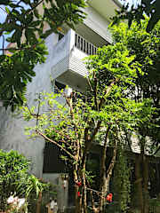 Photos de 