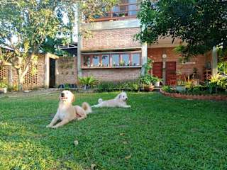 Photos of Bua Guest House