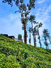 Photos of Mad & Nomad Backpackers Hostel
