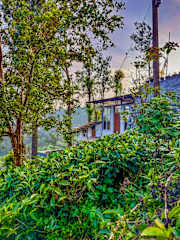 Photos of Mad & Nomad Backpackers Hostel