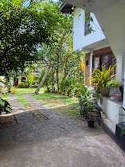Bilder av