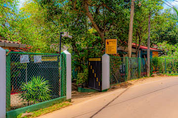 Foto di