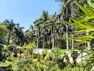 Photos of Garden of Eden Cottages and Guest House