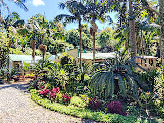 Photos of Garden of Eden Cottages and Guest House