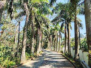 Photos of Garden of Eden Cottages and Guest House