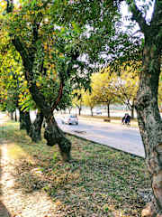 Fotos de