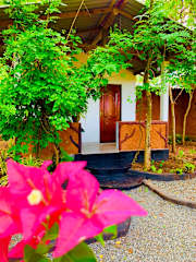 Wild Queens Safari Cottage의 사진
