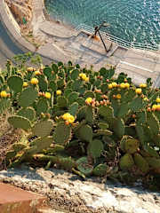 Photos of Planinarski dom Miroslav Hirtz