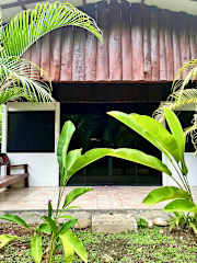 Green House Cocles의 사진