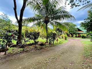 Hospedaje Casona de Pani의 사진