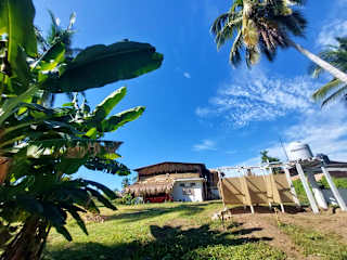 Fotos de Hostal Roca Blanca