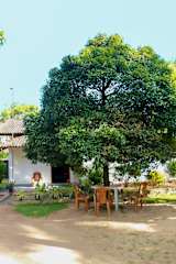 Photos of Dihein Surf Hostel