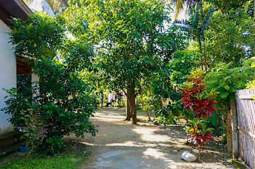 Photos of Dihein Surf Hostel