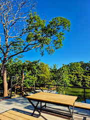 Photos of Wildcat Hostel Yala