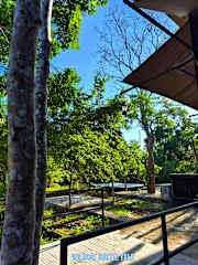 Photos of Wildcat Hostel Yala