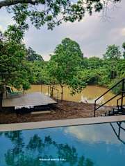 Photos of Wildcat Hostel Yala