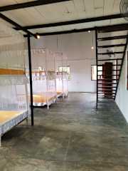 Photos of Pilgrims Nature Hostel