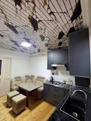 BridgeStayHostelの写真