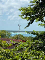 Bilder av