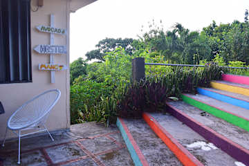 Foto di
