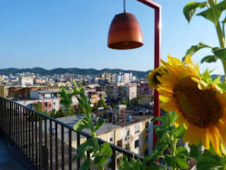 Photos of Rooftop Hostel