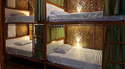 Photos of Jungle Hostel