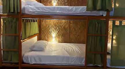 Photos of Jungle Hostel