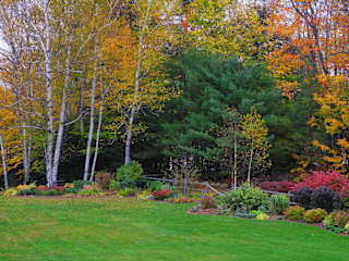 Photos of Wilson Lake Inn & Suites