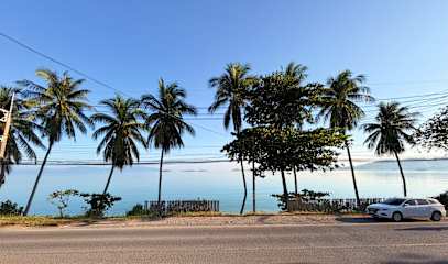 Фотографии