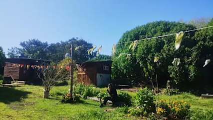 Photos of La Abuela Beba