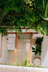 Photos of Les Terrasses Hostel