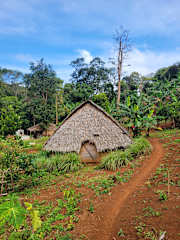 Fotos von