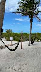 Photos of Frequency Hostel Beachfront
