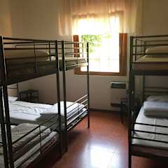 Bilder av