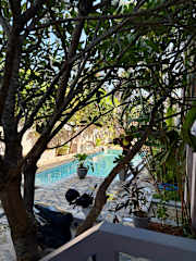 Fotos de
