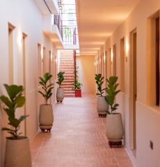 Photos of Hotel Casa del Huésped