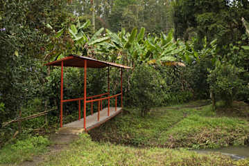 Fotos de