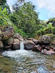 Fotos de