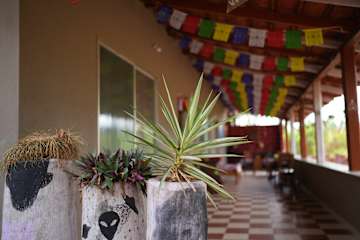 Fotos de 