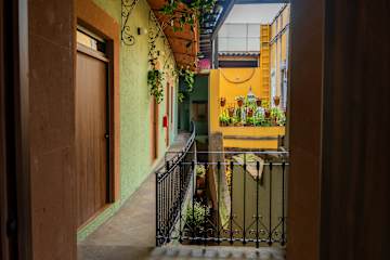 Photos of Straw Hat Hostel & RoofTop Bar CDMX