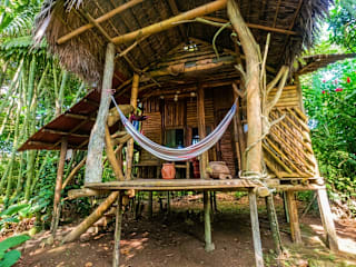 Sacha Wasi - Plant medicine & Yoga Retreat의 사진