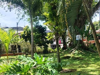 Fotografias de
