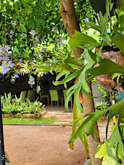 Photos of Goalma Wilpattu Safari Facility