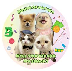 Photos of House of Patcha