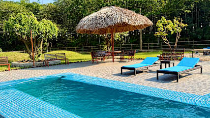 Photos of Loop Tribe Social Hostel