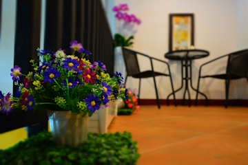 Photos of Seedling House