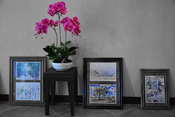 Photos of Seedling House