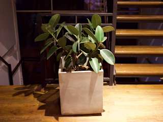 Photos of Castle Lane By Luna Leaf Hanging Hostel