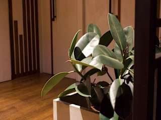 Photos of Castle Lane By Luna Leaf Hanging Hostel